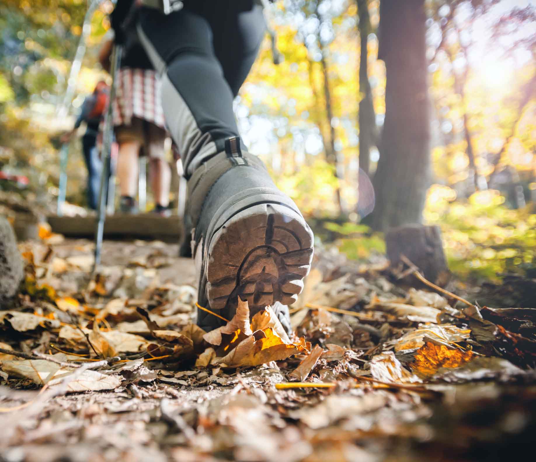 Close up of a shoe as a group walks in the woods